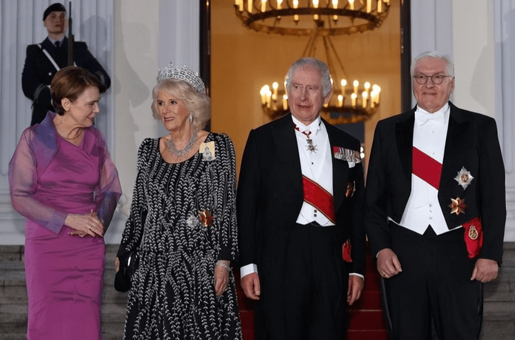 皇冠代理登3平台_德第一夫人把人惊艳!穿高贵紫礼服裙接待卡米拉皇冠代理登3平台,不戴皇冠也风光