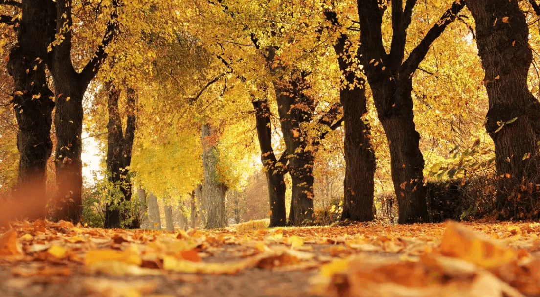 皇冠信用盘会员开户_曝光:前海母基金就是惊天大骗局皇冠信用盘会员开户!已有人被骗!