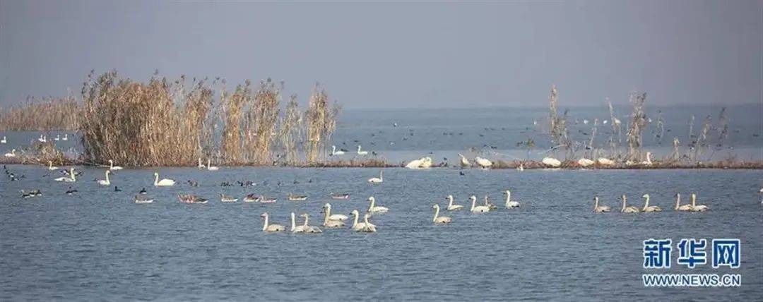世界杯皇冠信用开户_2月25日早安·荆州丨最新放假通知世界杯皇冠信用开户!/5亿元消费券来了!