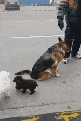 皇冠信用盘怎么弄_轻松一刻:用了这么久的表情包皇冠信用盘怎么弄,今天终于见到真人版了,哈哈哈