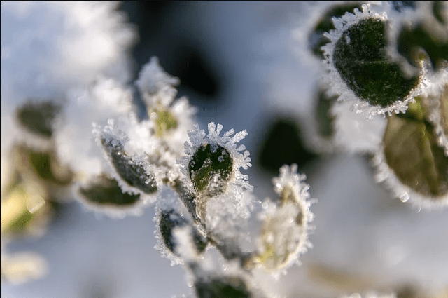 皇冠信用网怎么开户_期权怎么开户佣金多少皇冠信用网怎么开户?