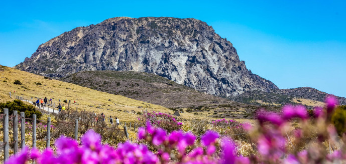 皇冠信用网开号_地中海号&梦想号双船寒假闪促来喽皇冠信用网开号,舱位有限,开秒吧