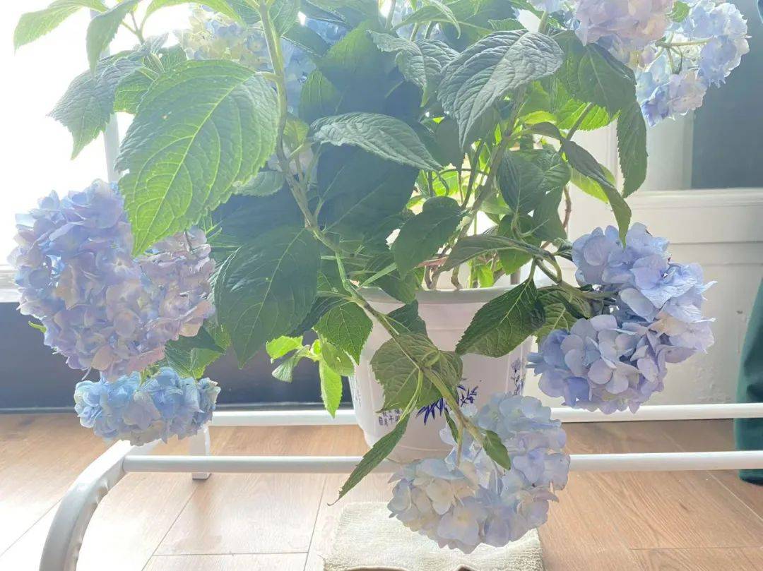 皇冠信用会员账号注册_头最铁的年轻人皇冠信用会员账号注册,买房只买顶楼