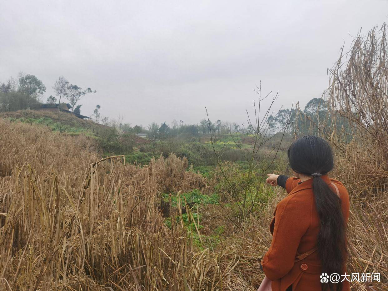 皇冠足球平台代理
_违法强拆鱼塘被判赔380万皇冠足球平台代理
,报道后街道办同意先支付30%再变卖资产抵债