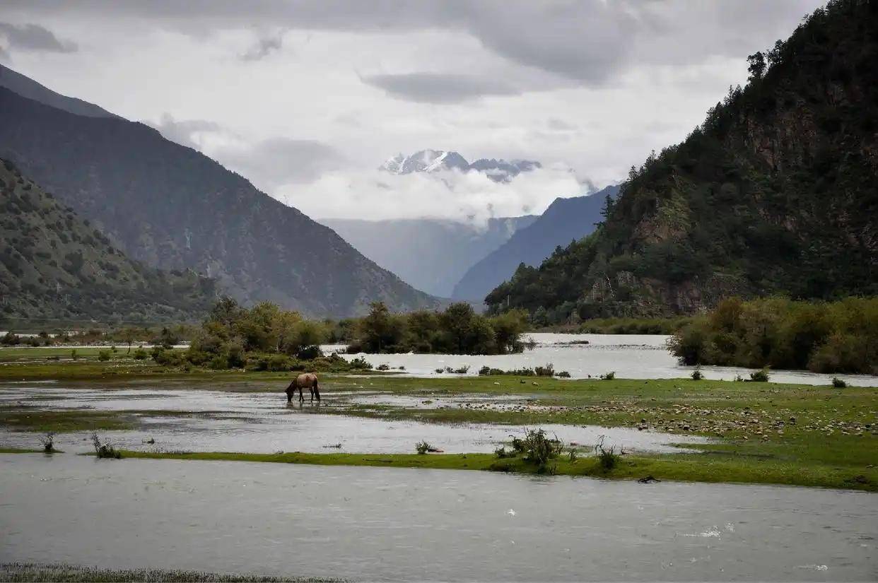 怎么开通皇冠信用网口
_莫迪开始算账了怎么开通皇冠信用网口
,印度反对中国宣示藏南主权,中方回应十分霸气!