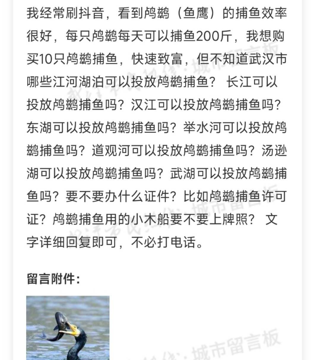 拜仁慕尼黑v小保加_市民欲买10只鸬鹚在长江捕鱼致富拜仁慕尼黑v小保加,水务局:它是禁用渔具,在禁渔区使用最高可判三年