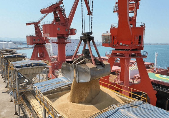 皇冠信用網_攻守易型了!中国又走了一步好棋皇冠信用網,出手签下3万吨大单,太罕见