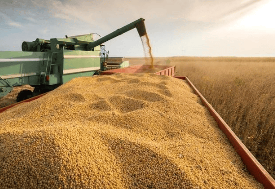 皇冠信用網_攻守易型了!中国又走了一步好棋皇冠信用網,出手签下3万吨大单,太罕见