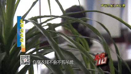 托特纳姆热刺VS伯恩利_00后女子上海旅游两个月花费0元托特纳姆热刺VS伯恩利,衣食住行赖账全靠“薅羊毛”,上海警方:已抓获!