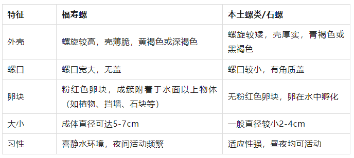 林肯城VS雷丁_别吃林肯城VS雷丁,寄生虫多达上千条!武汉公园连夜清出130多斤