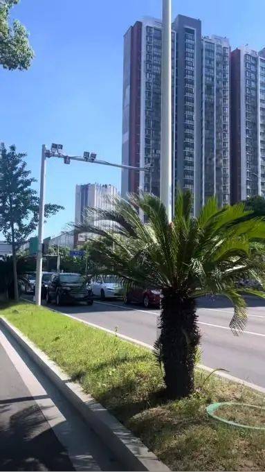 马利舍瓦VS维京古尔_车辆“避晒式”等红灯引争议马利舍瓦VS维京古尔,交警回应:违法,已有城市对此类行为罚款处罚