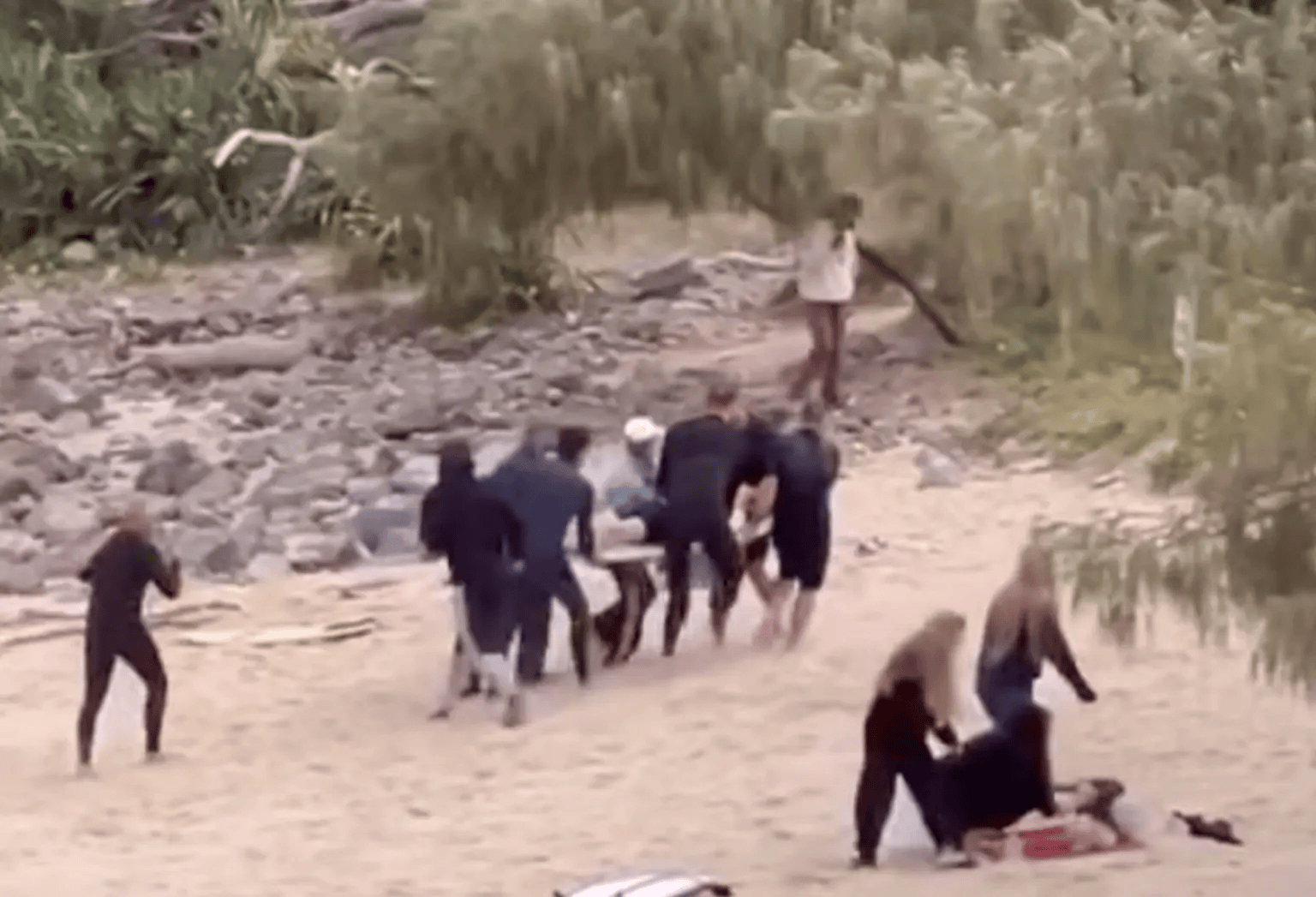 乌迪内斯VS维罗纳_鲨鱼咬伤一名16岁男孩后追赶他上岸乌迪内斯VS维罗纳,旁边有人帮忙挥拳打鲨鱼