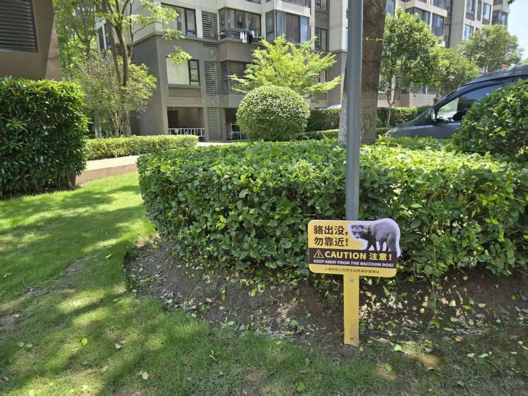 昂热VS巴黎足球会_上海一小区居民苦恼新邻居：突然搬来让人提心吊胆昂热VS巴黎足球会！不能抓不能打