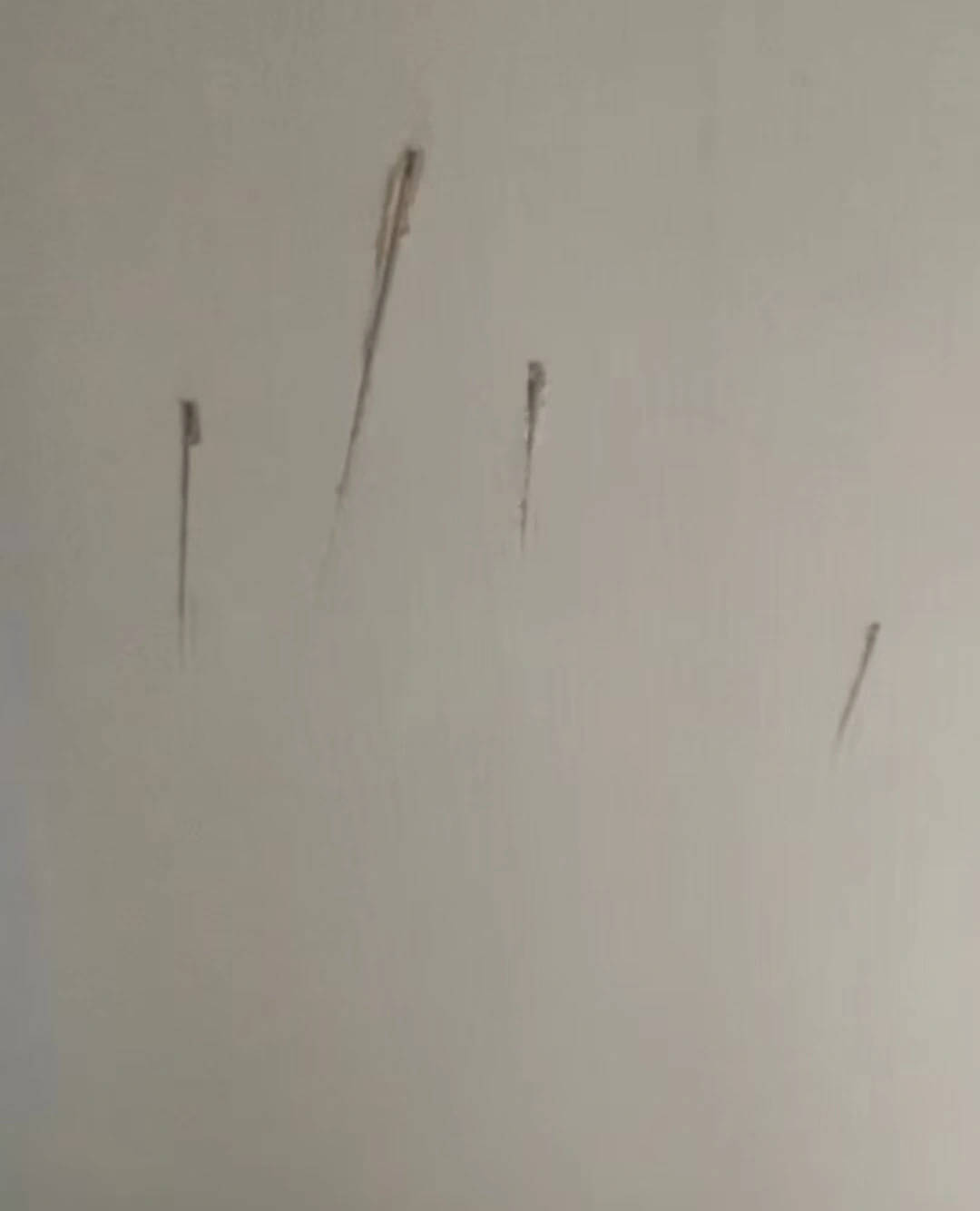 皇冠信用網代理
_陕西一护士被同居男友杀害皇冠信用網代理
,日记称长久遭受暴力威胁,家属希望追加虐待罪名,最新进展