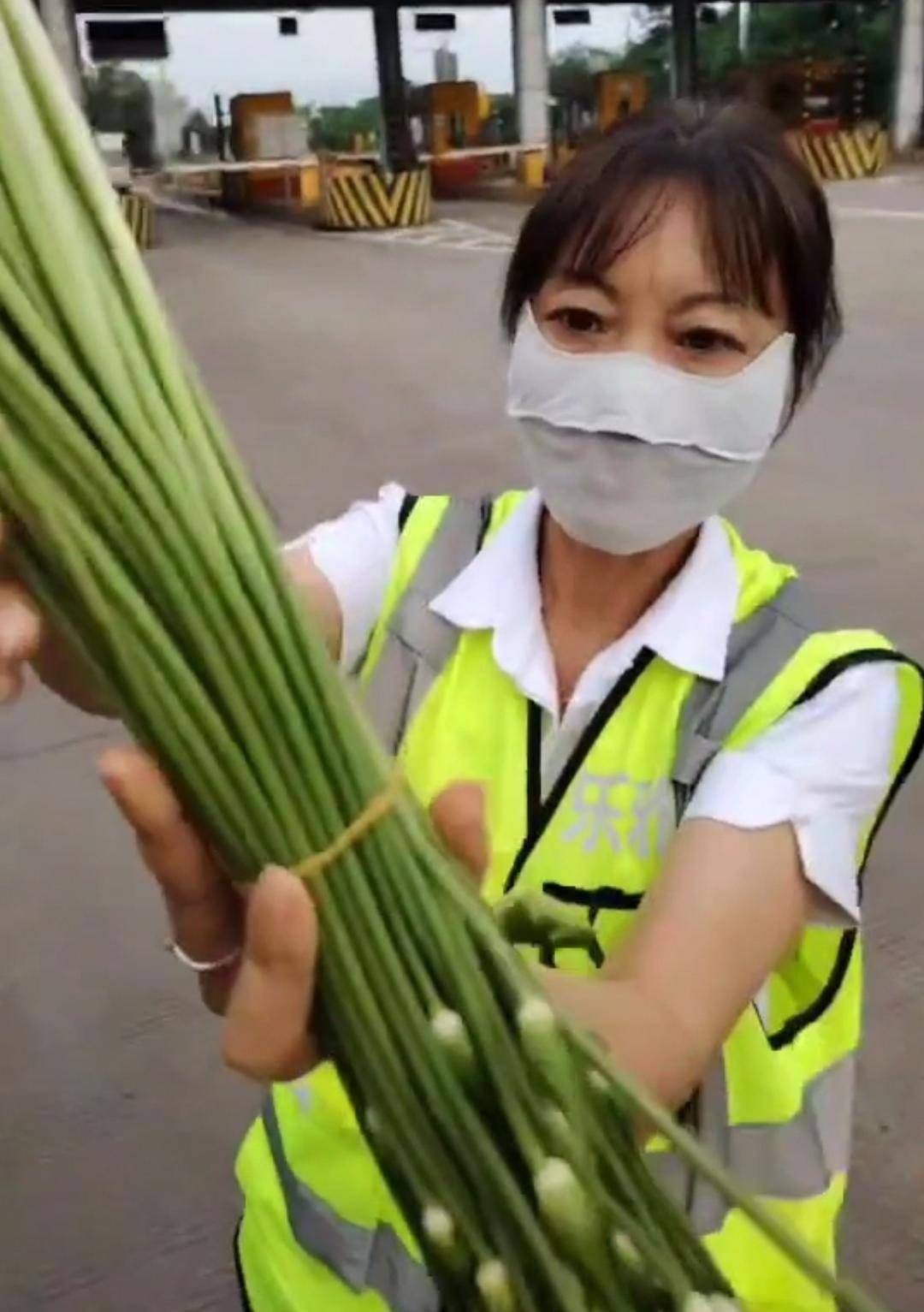 皇冠足球网_“韭菜免收通行费韭菜薹要收费”引热议皇冠足球网，专家呼吁：让绿通目录更“鲜活”