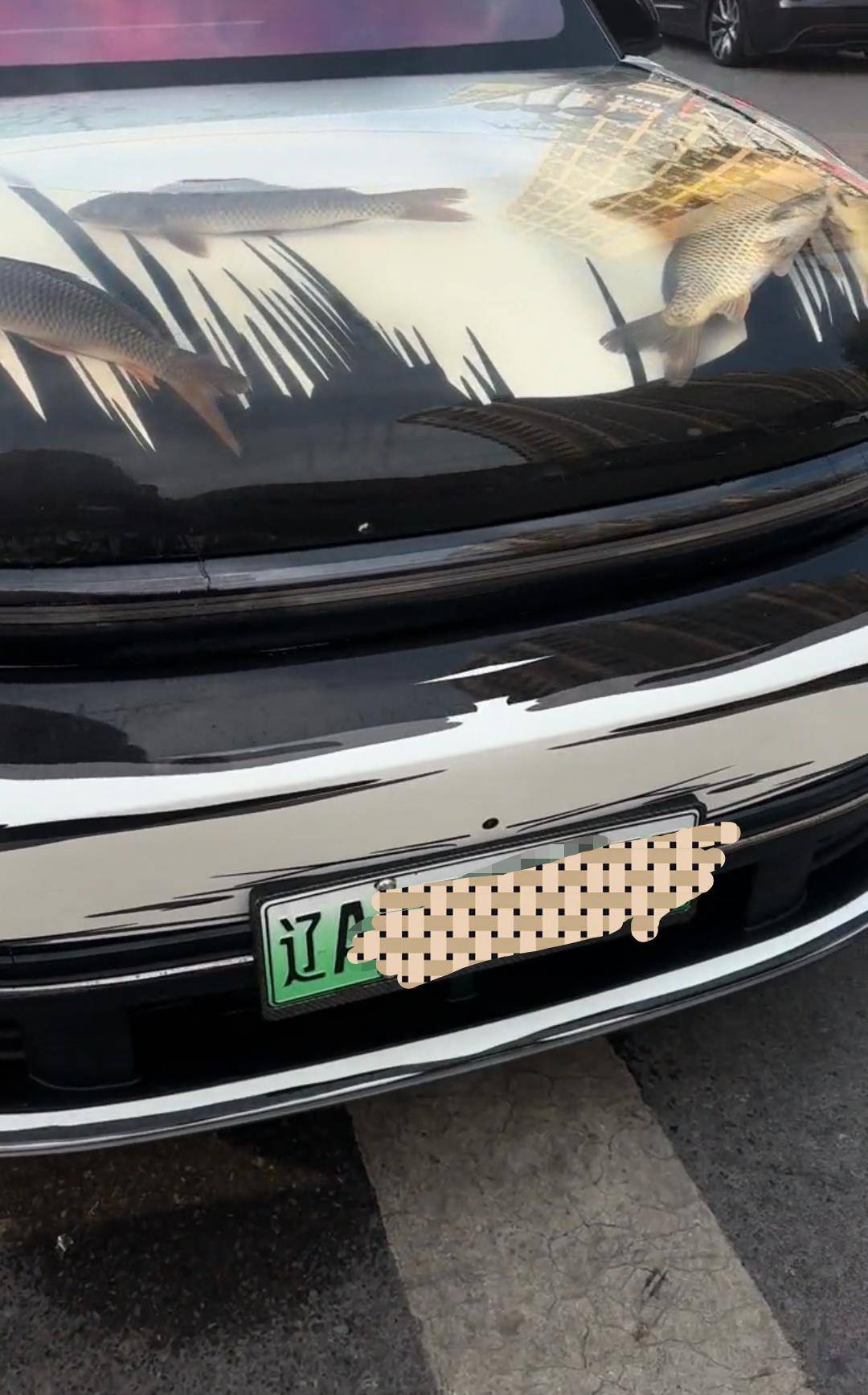 皇冠信用盘押金多少_沈阳一男子在机动车引擎盖贴车衣养鱼皇冠信用盘押金多少,交警:属非法改装,不能上路行驶