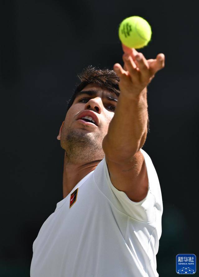 介绍个信用网址多少_新华图讯|辛纳首夺温网男单冠军