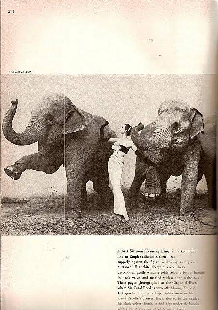 皇冠皇冠足球平台_一个日本富二代皇冠皇冠足球平台,花7000万买了个二手铂金包,内幕是……