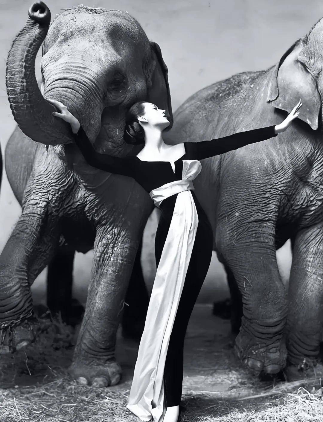 皇冠皇冠足球平台_一个日本富二代皇冠皇冠足球平台,花7000万买了个二手铂金包,内幕是……