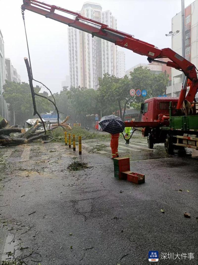 皇冠信用网会员开户_强风袭击皇冠信用网会员开户,深圳已出现树木倒伏!有行人被砸伤,非必要不出门