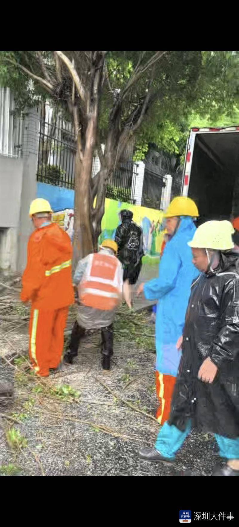 皇冠信用网会员开户_强风袭击皇冠信用网会员开户,深圳已出现树木倒伏!有行人被砸伤,非必要不出门