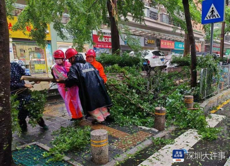 皇冠信用网会员开户_强风袭击皇冠信用网会员开户,深圳已出现树木倒伏!有行人被砸伤,非必要不出门