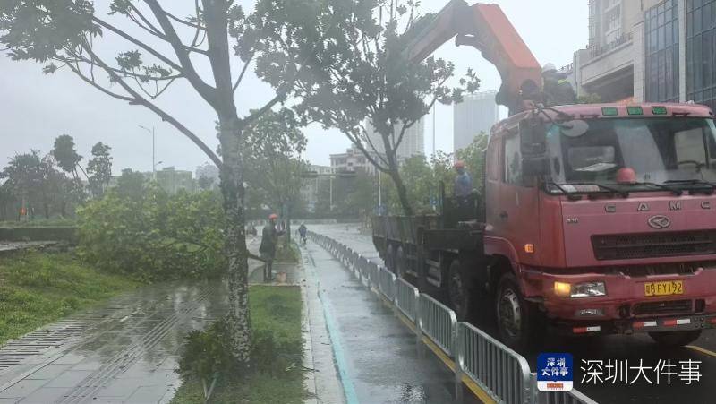 皇冠信用网会员开户_强风袭击皇冠信用网会员开户,深圳已出现树木倒伏!有行人被砸伤,非必要不出门