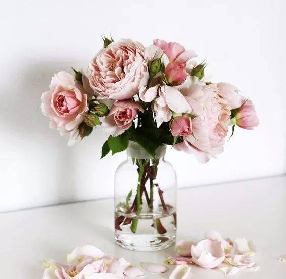 皇冠信用网登1_出远门前皇冠信用网登1,为什么一定要在冰箱里放枚硬币?