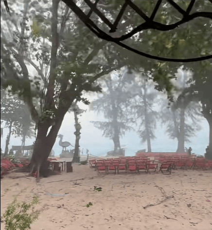 皇冠信用网会员注册_中国女游客被砸身亡!女儿崩溃:原定明天回国皇冠信用网会员注册,刚退休的年纪,意外先到了!