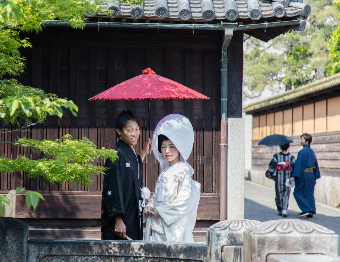 意大利甲组联赛_在日本意大利甲组联赛,不婚先从普通人开始