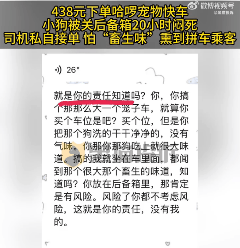 正网皇冠信用網_哈啰宠物快车小狗被关后备箱闷死