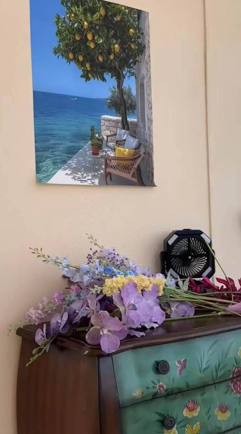 皇冠信用网代理怎么申请_网友因“海景照”探店皇冠信用网代理怎么申请,发现竟是墙上一幅画……店主:遭不明人士网暴,将报警