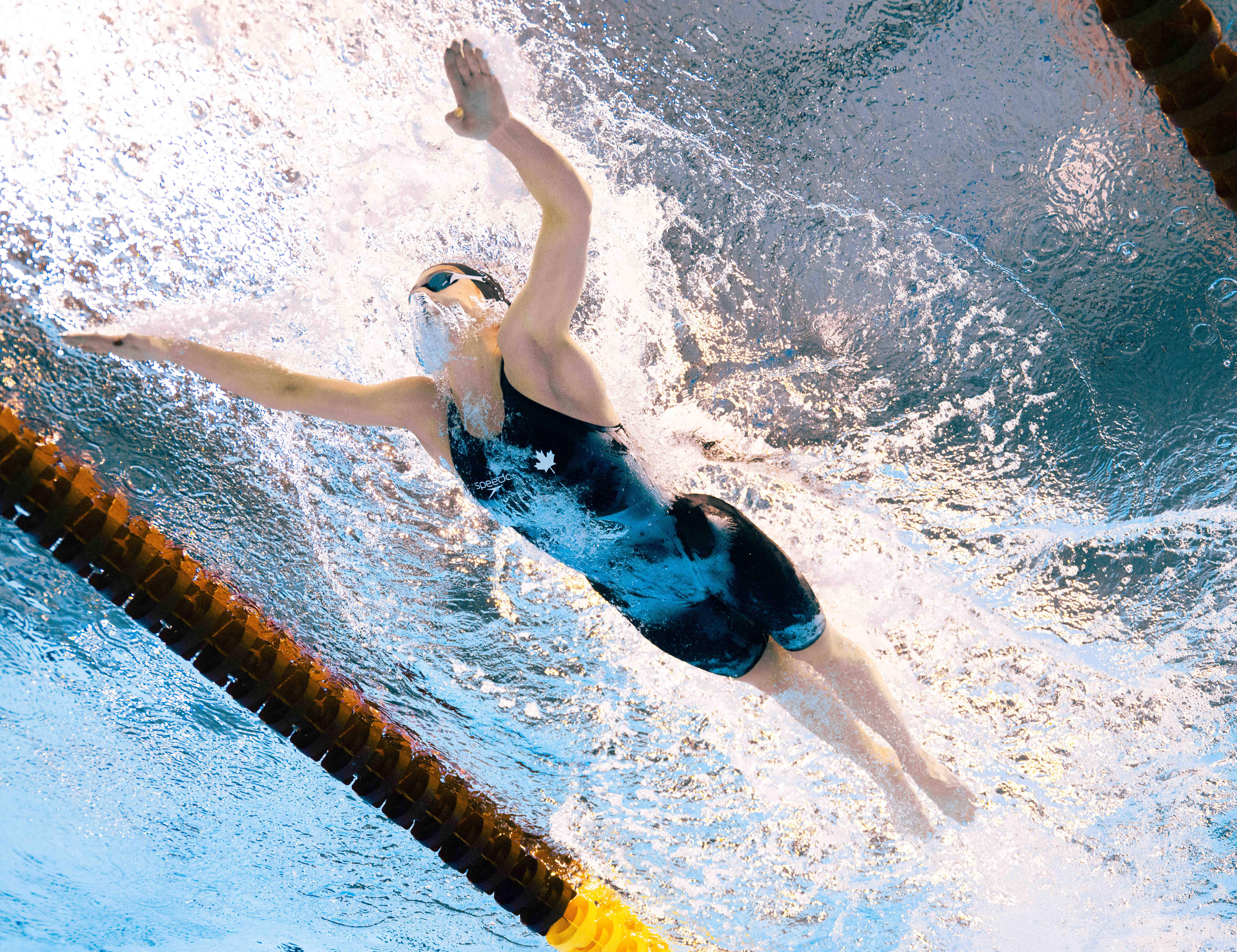 皇冠信用平台出租出售_游泳世锦赛:美国队打破世界纪录 中国队收获两银两铜