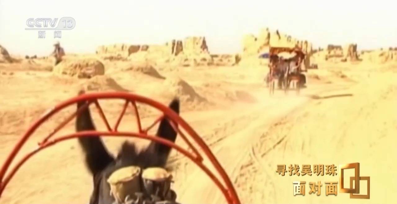 皇冠信用网怎么申请_面对面丨中国人的吃瓜自由要感谢她皇冠信用网怎么申请!吴明珠说她的一生就是结几个好瓜献给人民