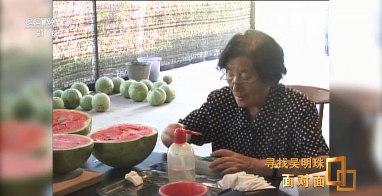 皇冠信用网怎么申请_面对面丨中国人的吃瓜自由要感谢她皇冠信用网怎么申请!吴明珠说她的一生就是结几个好瓜献给人民