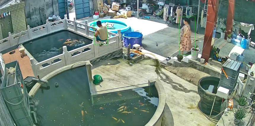 皇冠信用網怎么开户_新乡一男子喂鱼忘送娃上课被妻子踹进鱼池:妻子怀孕脾气有时候控制不住皇冠信用網怎么开户,互相道了歉