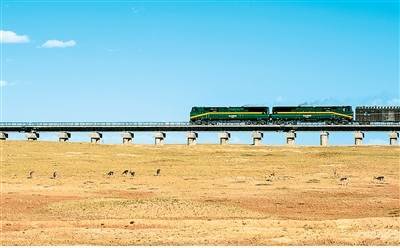 皇冠信用盘开户_昔日戈壁荒滩皇冠信用盘开户,今日“绿色明珠” 格尔木“风”“光”无限