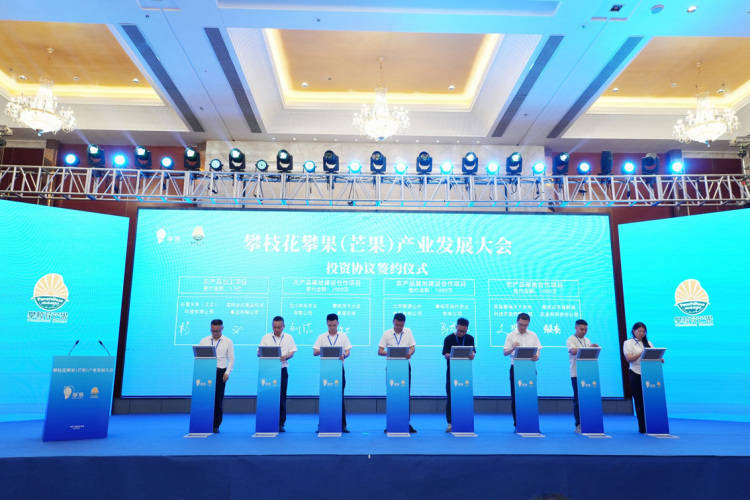 皇冠信用網开户_项目投资总额近15亿元 攀枝花攀果(芒果)产业发展大会在盐边举行