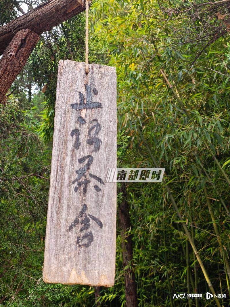 皇冠体育App下载_两座千年古刹今与昔:实探经历掌门变换的少林寺和白马寺