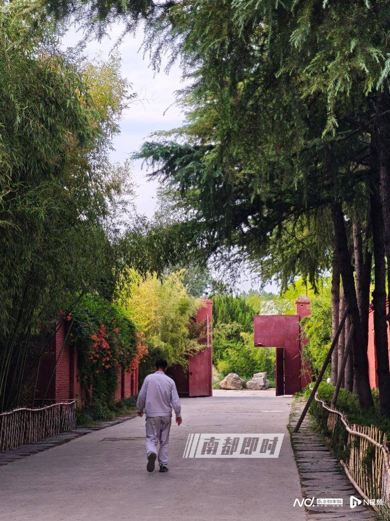 皇冠体育App下载_两座千年古刹今与昔:实探经历掌门变换的少林寺和白马寺