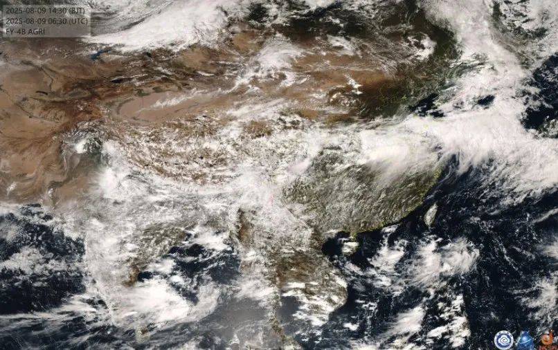 爱尔兰超级联赛_第11号台风“杨柳”突然北抬爱尔兰超级联赛！明天闵行或将下开水……