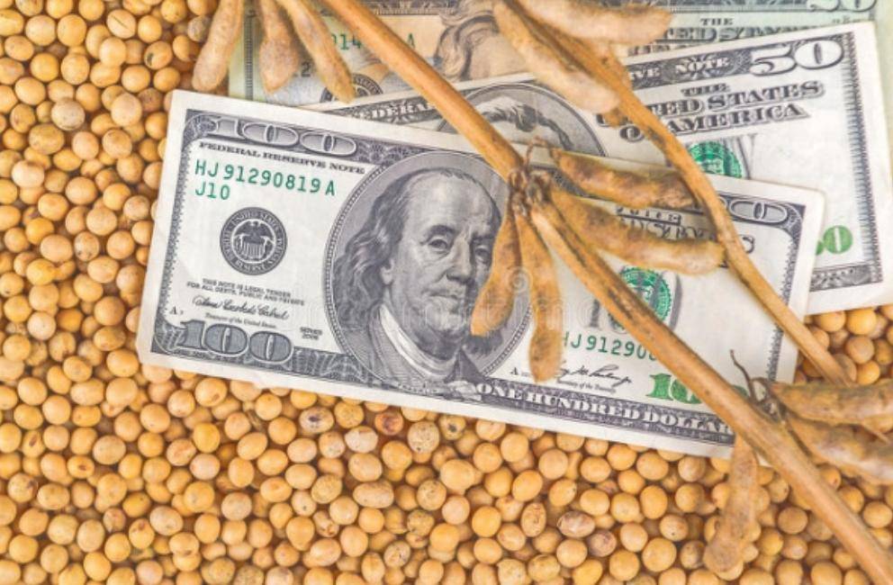 皇冠信用網注册开户_不提关税皇冠信用網注册开户,却要求中国增加4倍进口美国大豆,特朗普打的什么算盘?