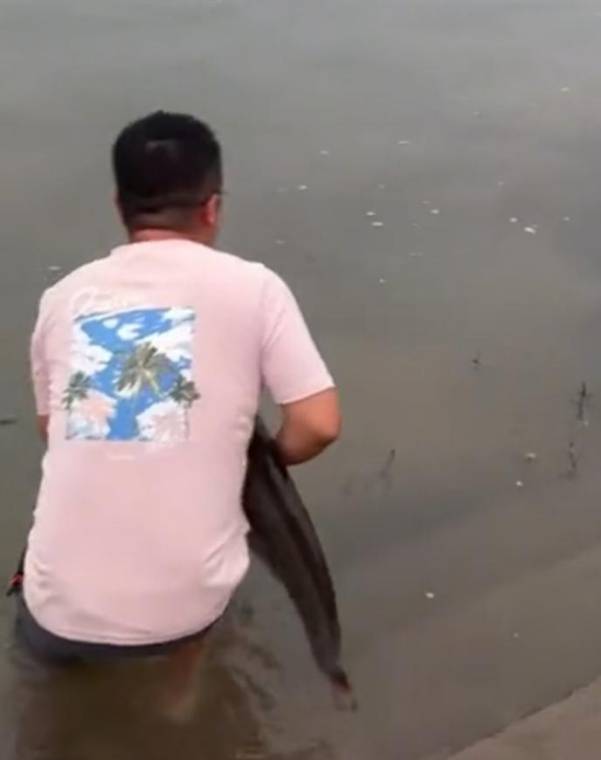 皇冠信用網会员_四川一男子钓1米长大鱼后放生皇冠信用網会员,围观者高呼“卖给我”,回应:钓鱼是为娱乐