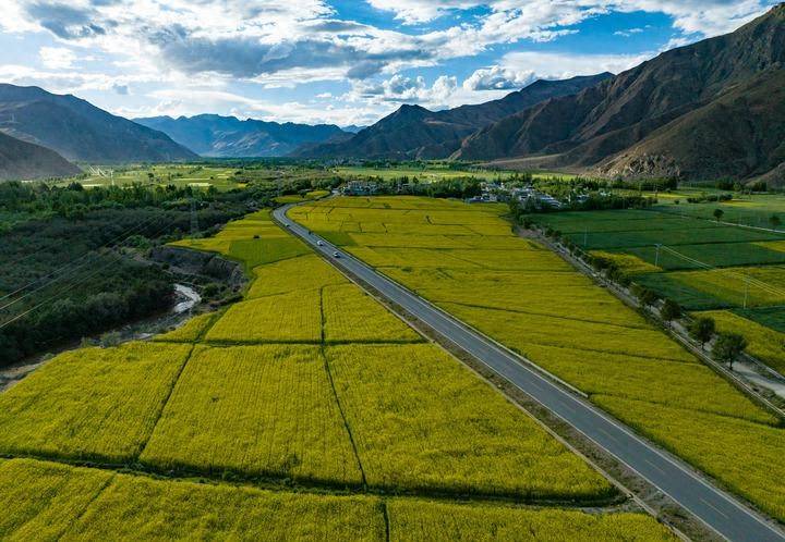 皇冠皇冠平台
_县·观察|乃东:高原沃土的产业振兴之路