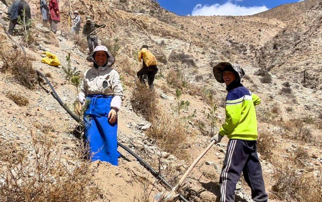 皇冠皇冠平台
_县·观察|乃东:高原沃土的产业振兴之路