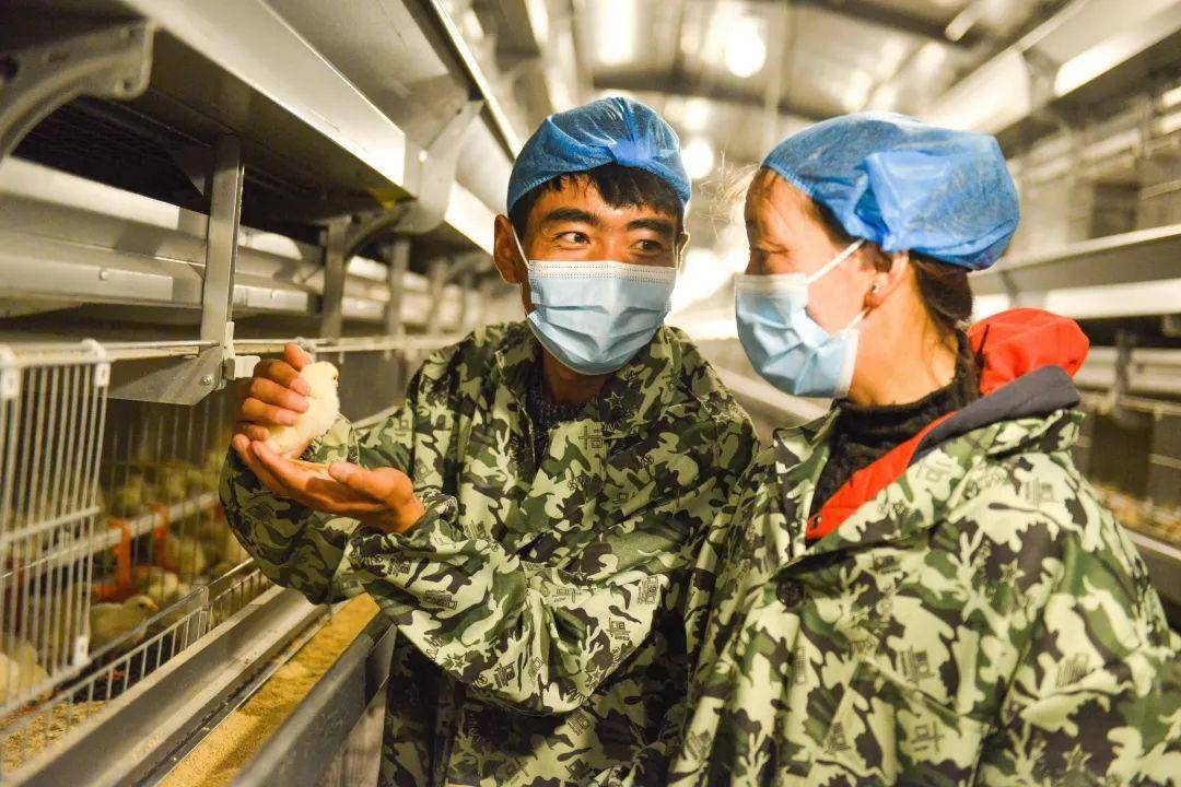 皇冠皇冠平台
_县·观察|乃东:高原沃土的产业振兴之路