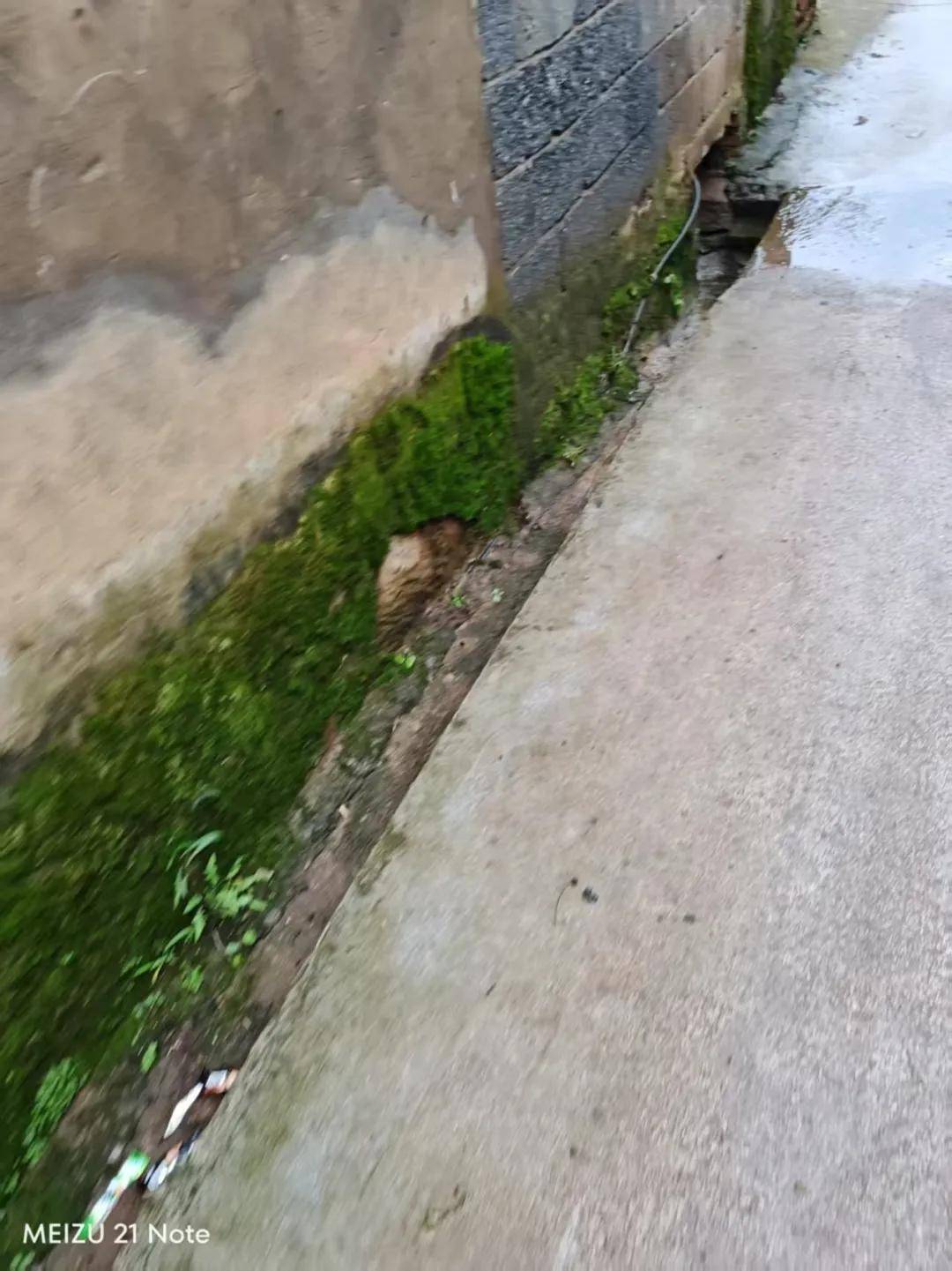 皇冠信用網注册开通
_中学男孩杀害同班女生皇冠信用網注册开通
,或意图实施性侵