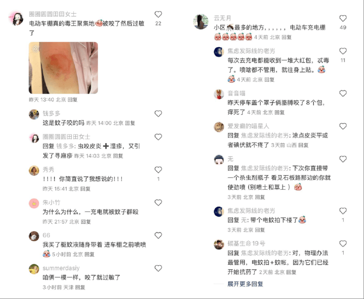 皇冠信用盘占成代理
_全球“最毒”的蚊子皇冠信用盘占成代理
,为何批量北上