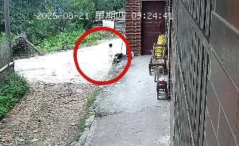 皇冠信用网会员
_湖南新邵突然失踪的2岁女孩平安找到皇冠信用网会员
,当地公安:在距离家1公里外的山林石缝中发现