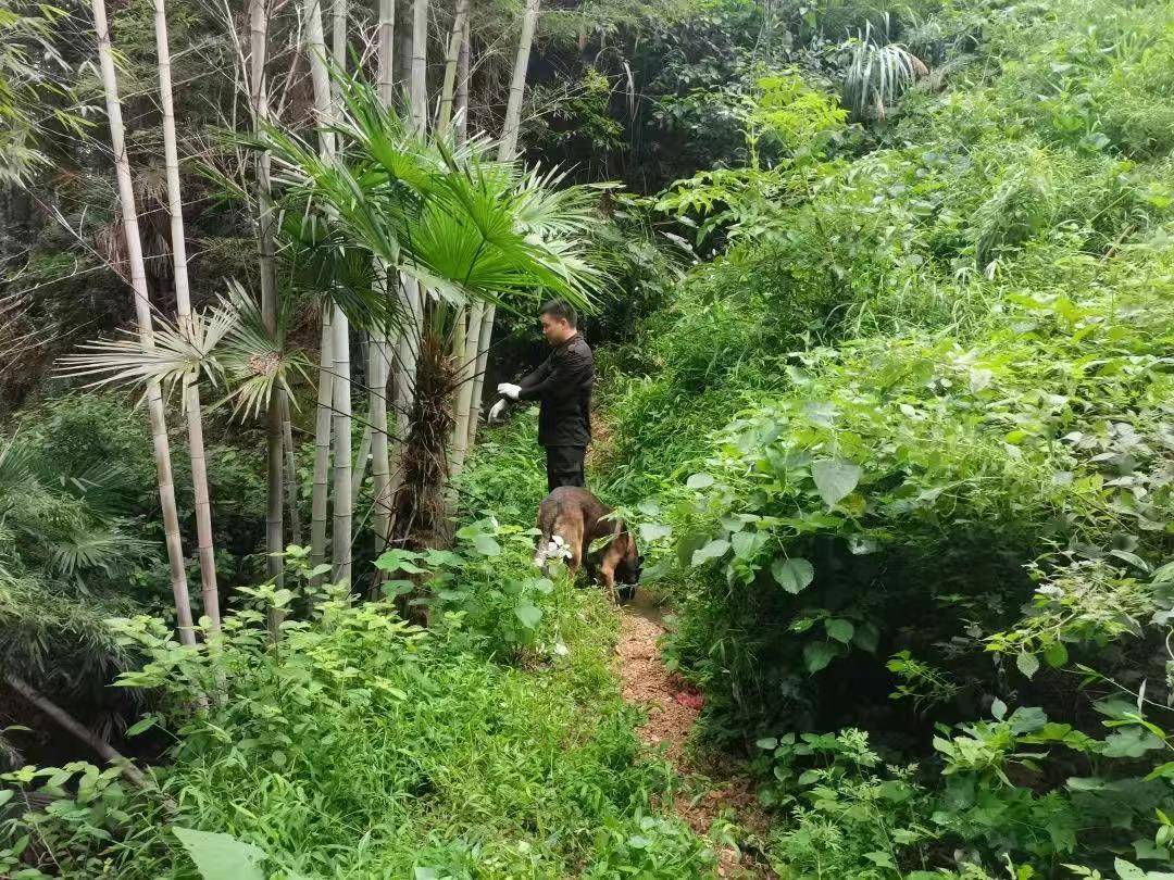 皇冠信用网会员
_湖南新邵突然失踪的2岁女孩平安找到皇冠信用网会员
,当地公安:在距离家1公里外的山林石缝中发现